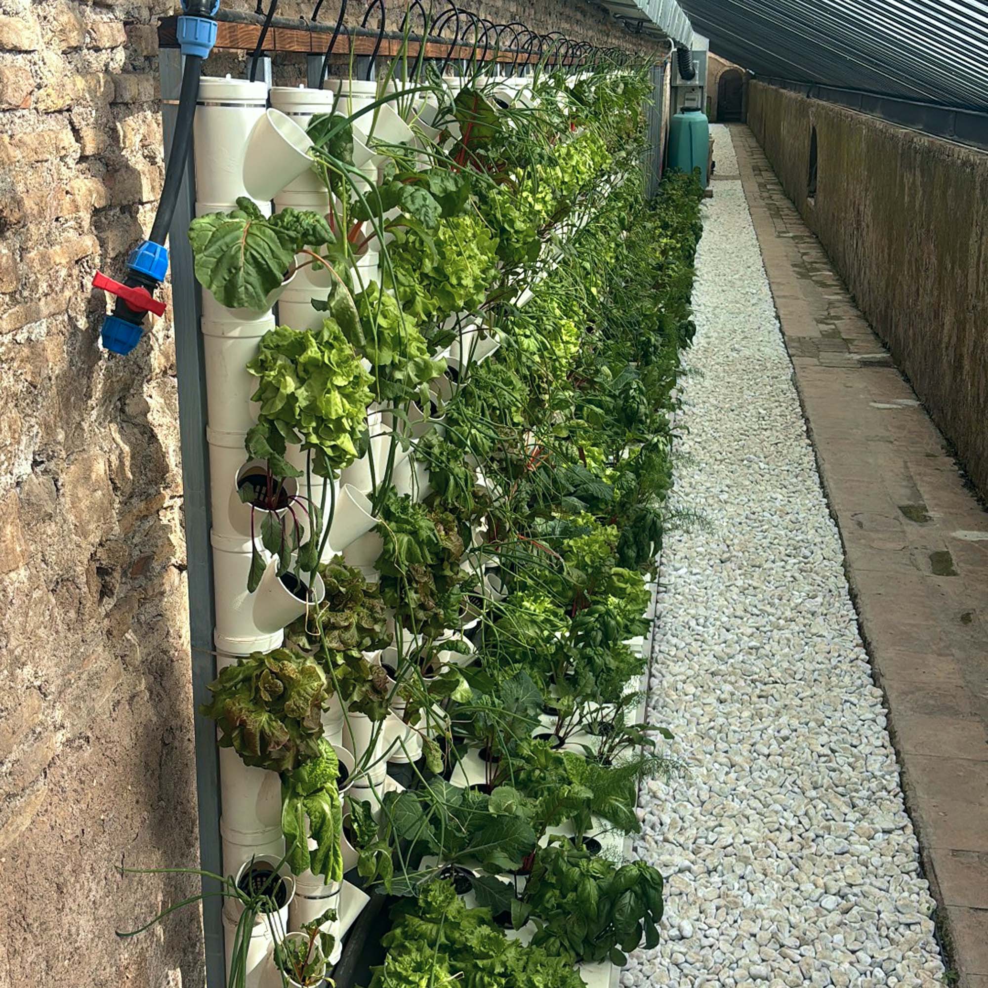 Foto dopo-serre- cedrati Le serre dopo la riqualificazione